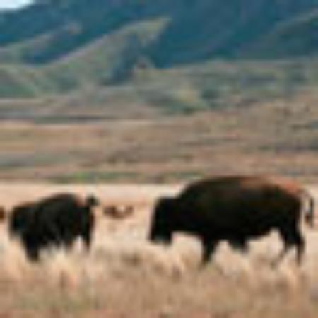 WangShi ShuiChan YangChengHu DaZhaXie